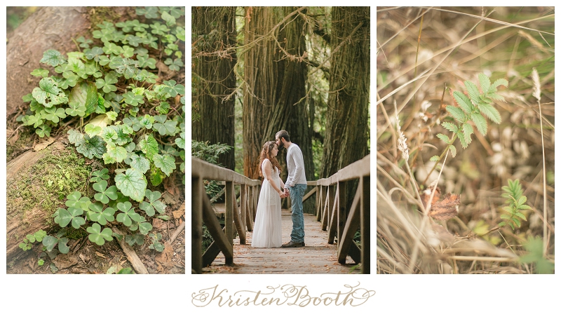 Redwoods-Forest-Engagement-Photos-09