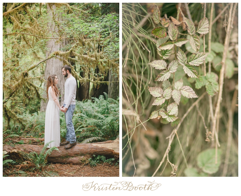 Redwoods-Forest-Engagement-Photos-13