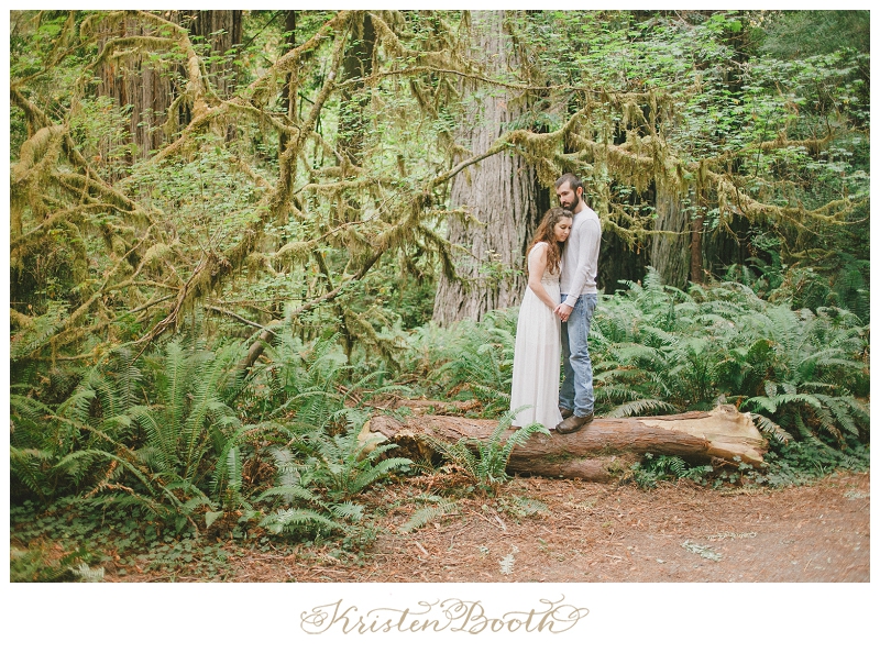 Redwoods-Forest-Engagement-Photos-14
