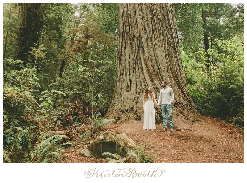 Redwoods-Forest-Engagement-Photos-16
