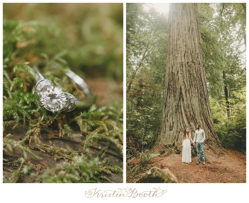 Redwoods-Forest-Engagement-Photos-17