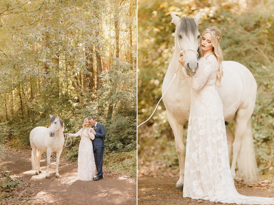 Bride and groom with white Friesian horse in Mendocino California