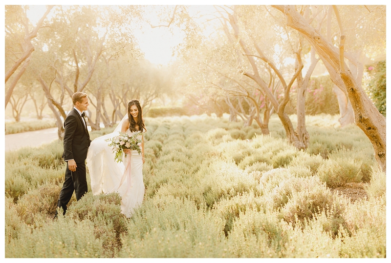 Golden sunset light streaming behind couple in lavender field at San Ysidro Ranch