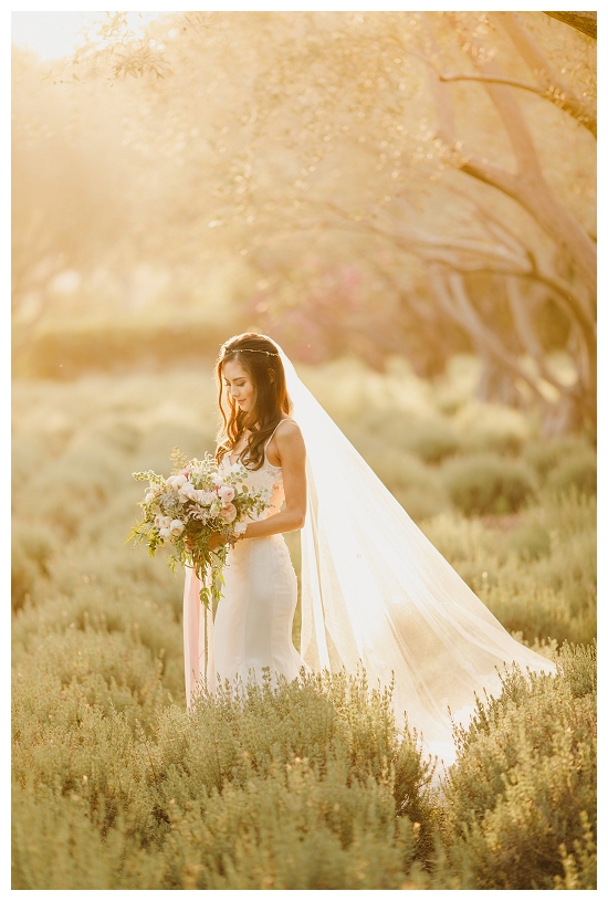 Bride standing in golden light in a lavender field