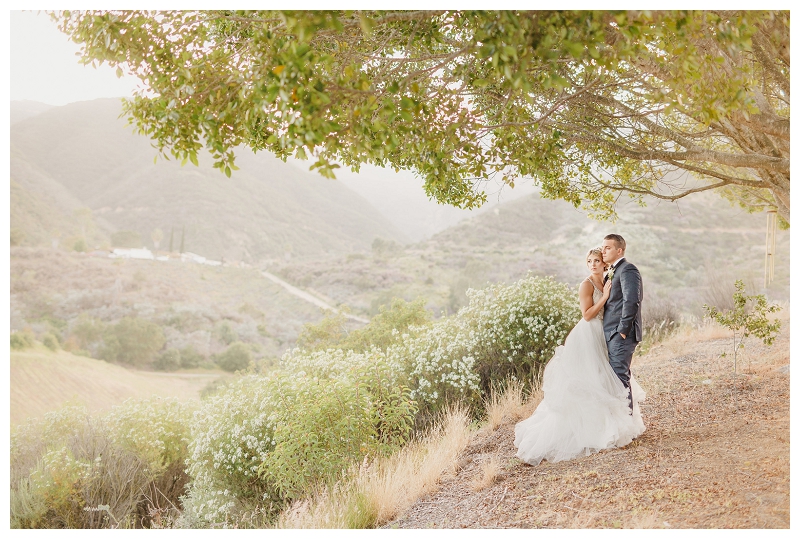 bride and groom portrait outside the Enchanted Forest with scenic valley in the background.