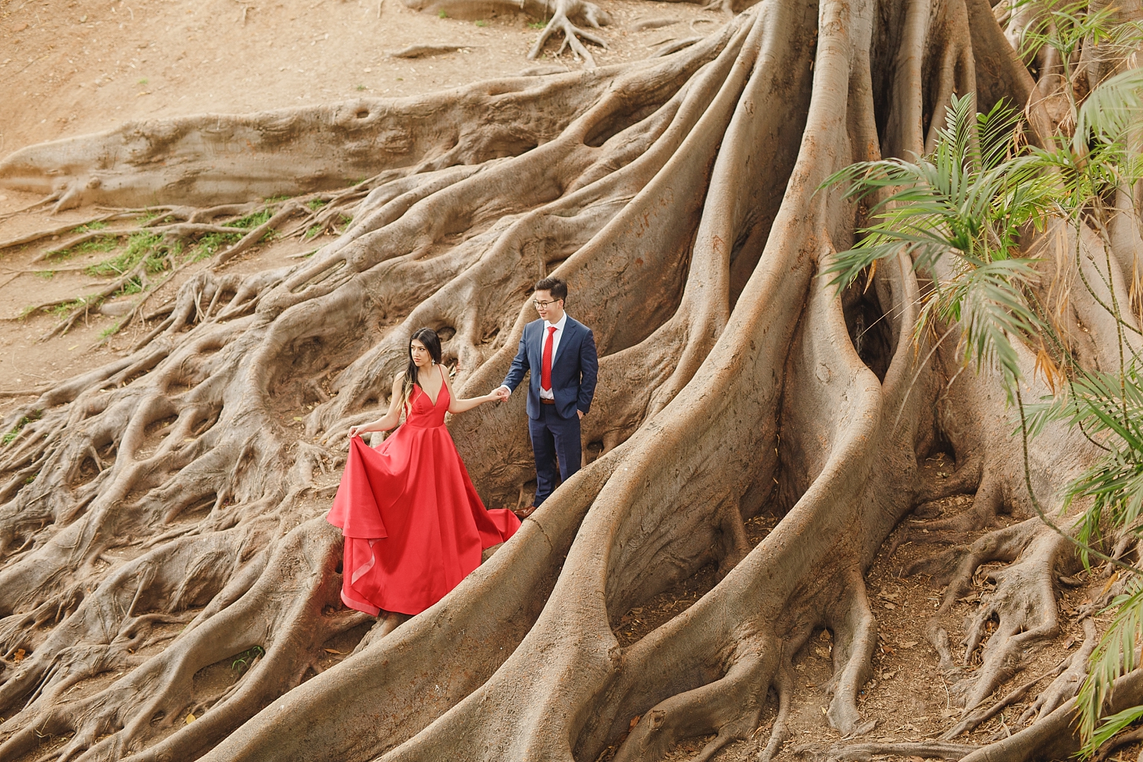 fairytale photo of couple in large tree roots