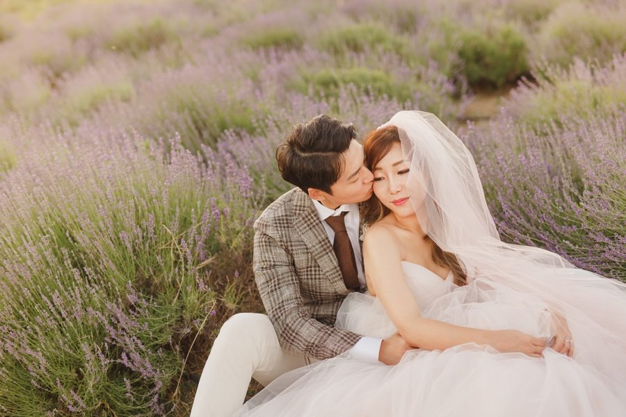 Fairytale photography in a lavender field