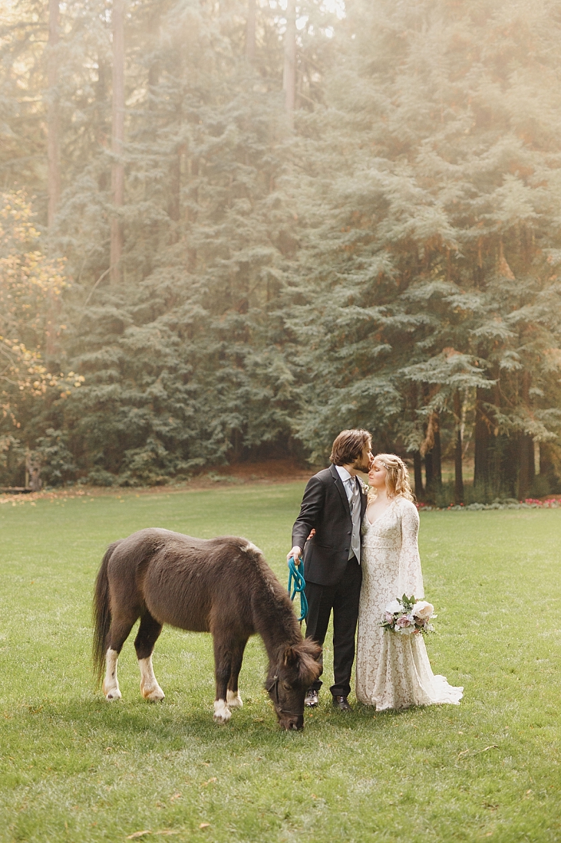 Wedding photos with mini pony