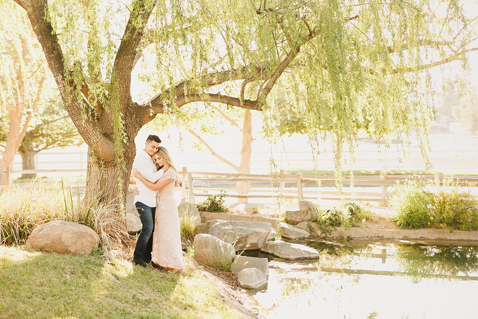 Willow tree engagement session