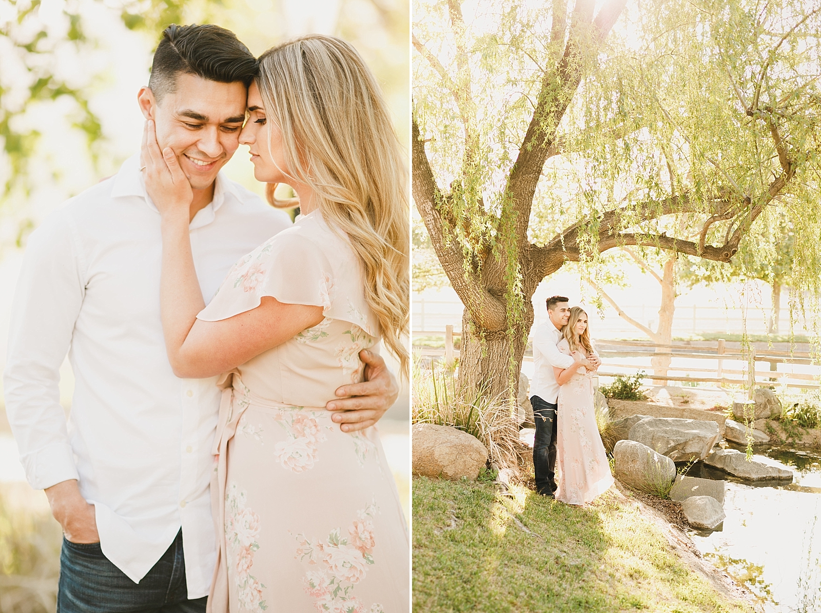 Willow tree engagement photos