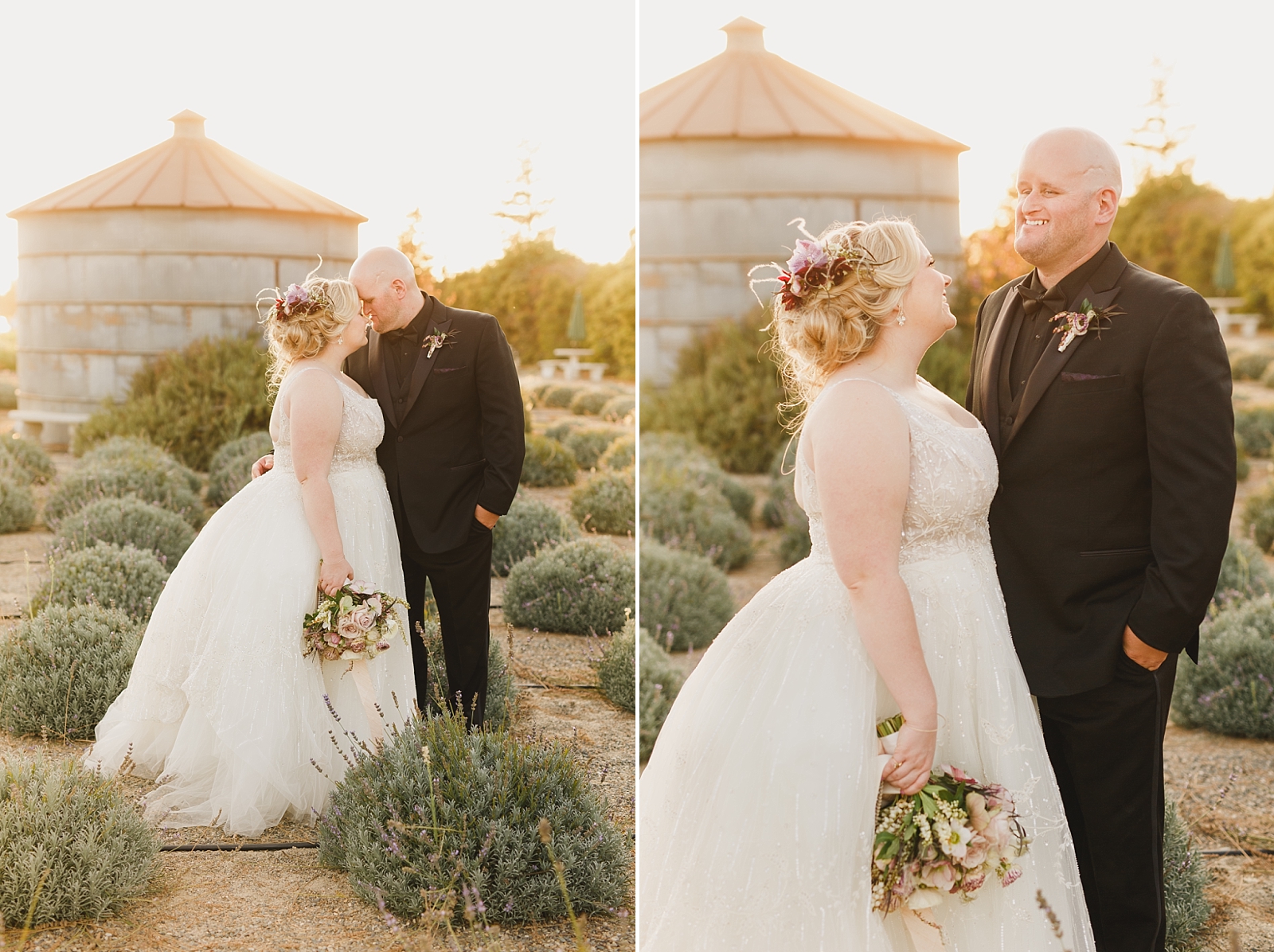 Central California golden hour lavender farm wedding portraits 