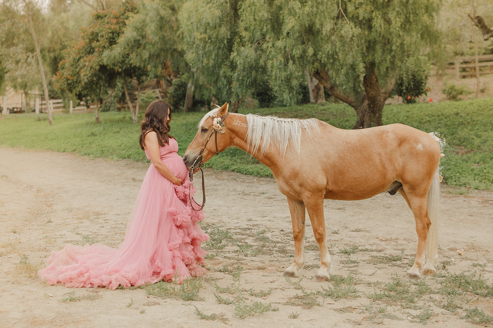 fairytale maternity session with a horse in Anaheim, California